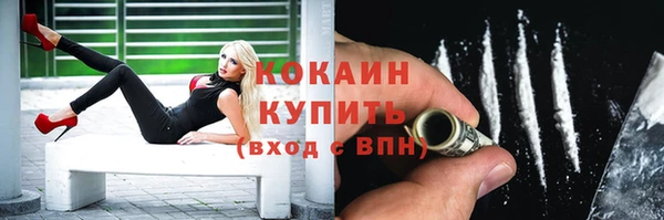 гашик Переславль-Залесский