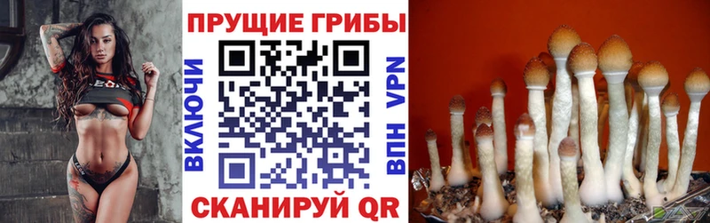 Купить  Краснокамск  Галлюциногенные грибы мухоморы 